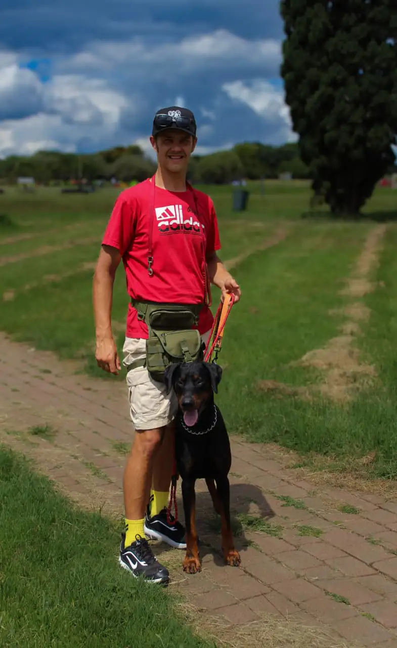 Professional dog grooming bath session with premium care