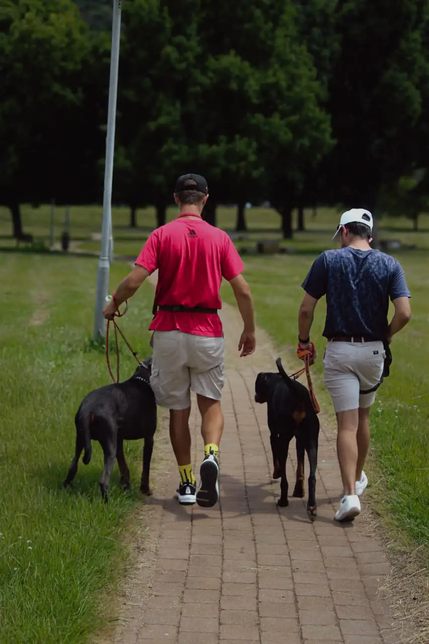 Dog grooming and nail trimming service in progress