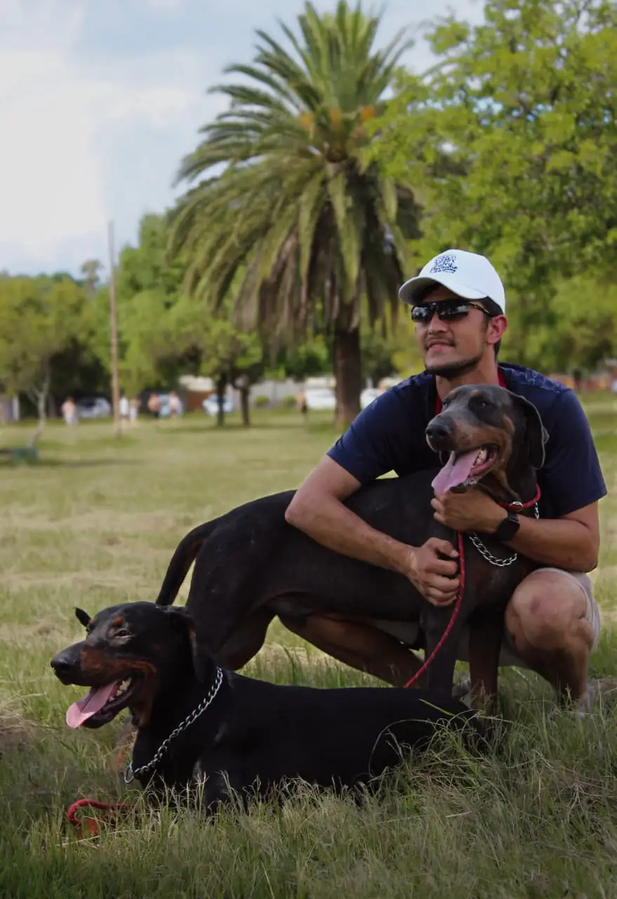 Fresh cut and grooming session for happy dog