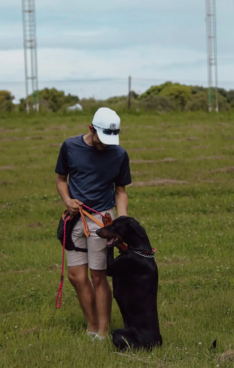 Interactive dog play session with mental stimulation toys