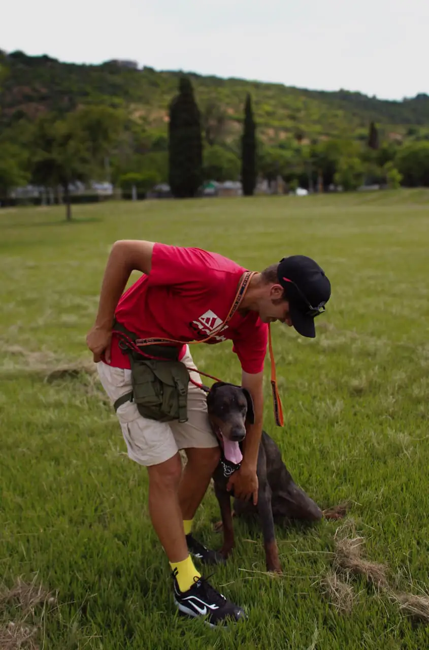 Dog enrichment playtime with puzzle games and activities