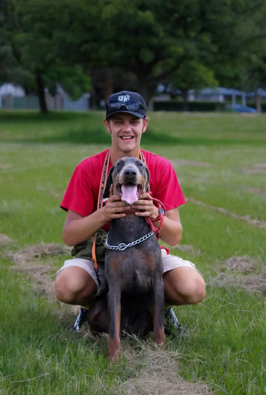 Structured dog walking session reinforcing good behaviour outdoors