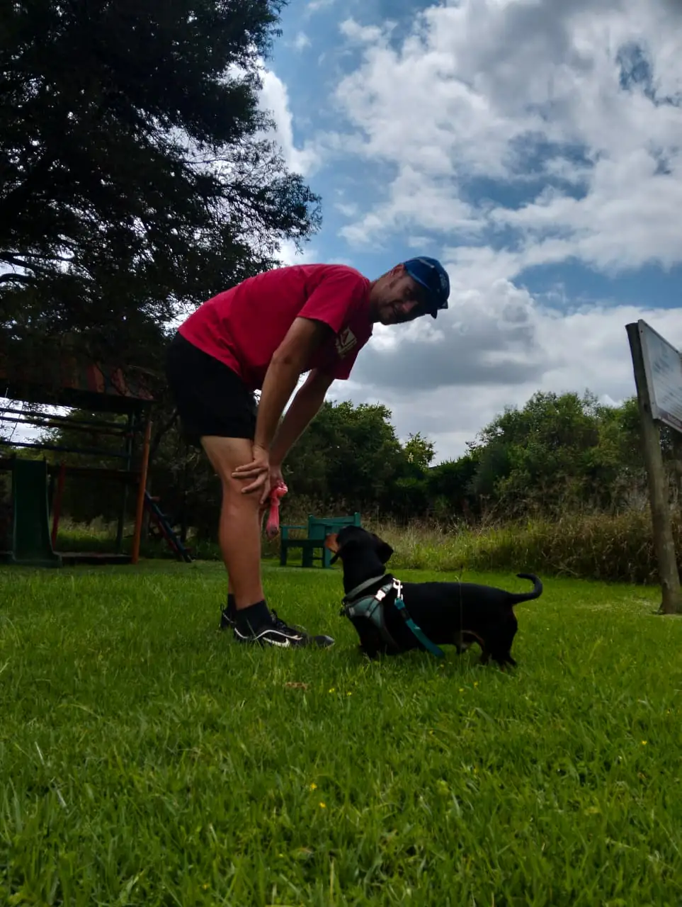 In-home pet care with companionship and attention